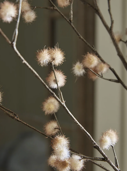 Dusky Pink Pom Pom Spray