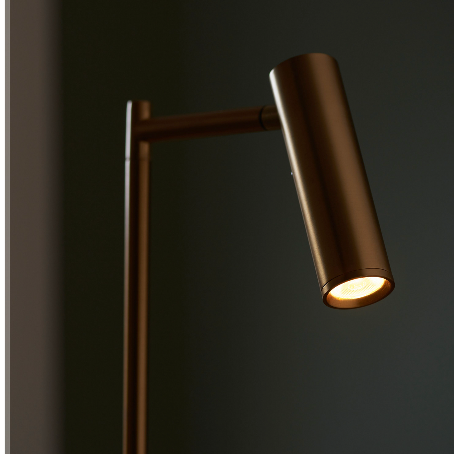 Dedicated Reader Floor Lamp (brass)