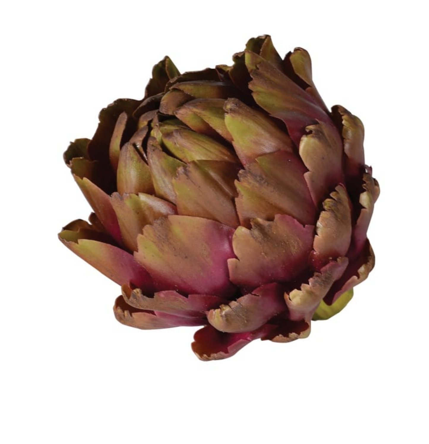 Purple and Green Artichoke Head